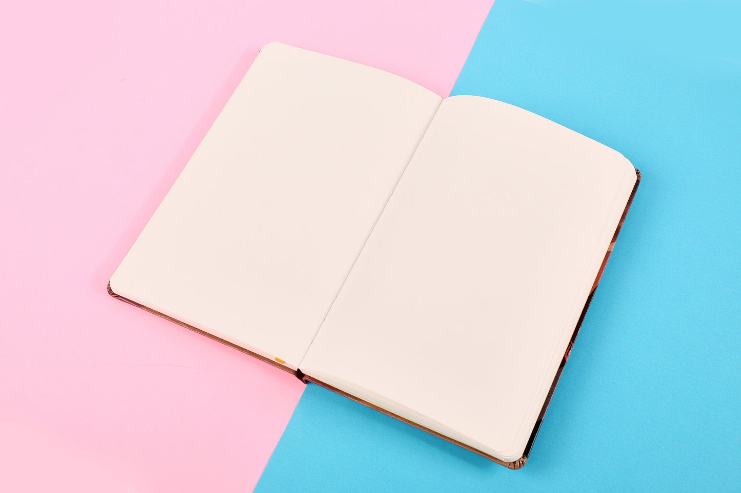 The Owl House Lumity Sketchbook / Notebook | A5 Blank Sheet Notebook